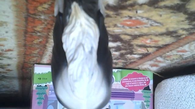 Мои лошади (часть 1) смотреть онлайн