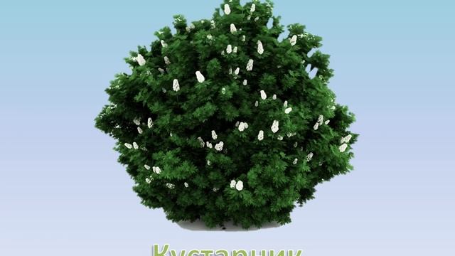 Деревья и растения смотреть онлайн