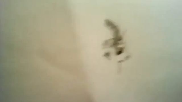 Как нарисовать Тирека!!! Три вида!!! смотреть онлайн