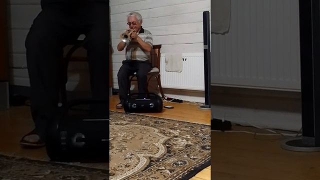 Вы шумите, березы смотреть онлайн