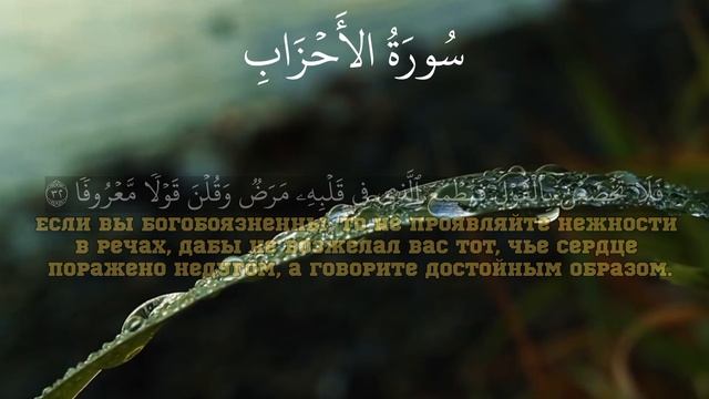 Сура Ал-Ахзаб аяти 32-33 Умар Сильдинский | Surah Al-Ahzab Umar Sildinskiy смотреть онлайн