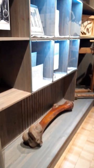 20.07.2023 Куростров, о-в Ломоносова, зал местных занятий, первый кадр - крестильная купель Михайлы смотреть онлайн