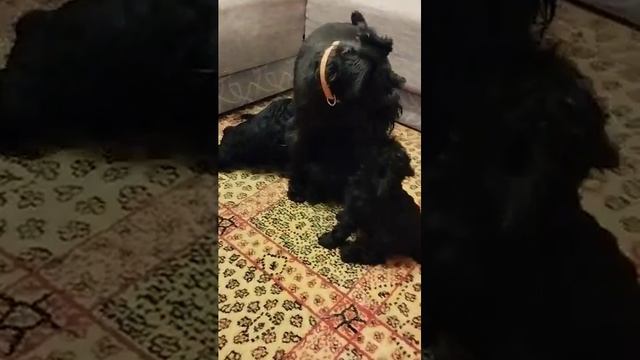 20 июня 2024 г. смотреть онлайн