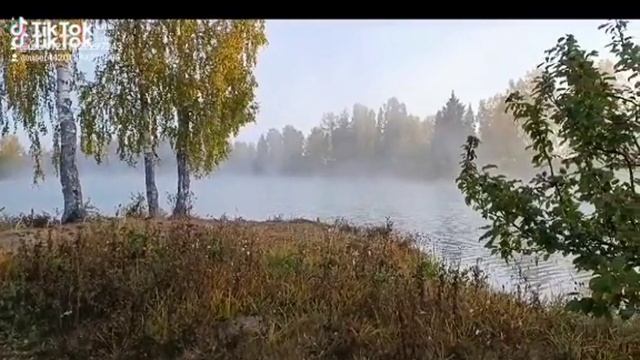 Утро на пруду.