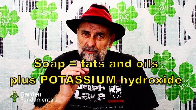 Homemade Insecticidal Soap Harms Your Plants 😢👿😯 Here is a Better Alternative. смотреть онлайн