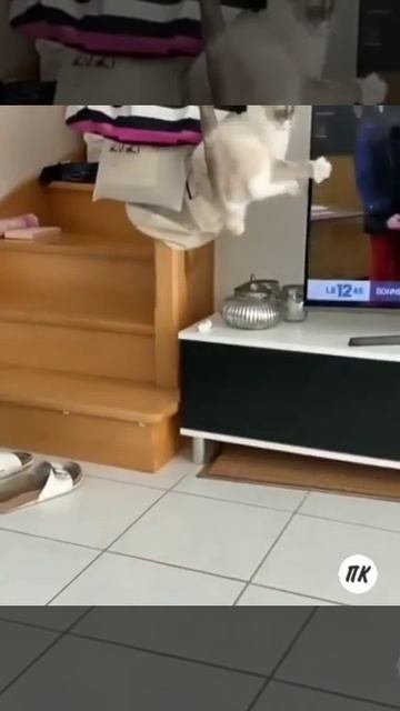 Сердечный приступ смотреть онлайн