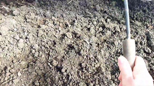 Доброго вечора ми з України.Робота в теплиці в марту. Розсада 19.03.22 смотреть онлайн
