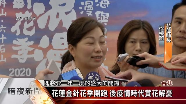 花蓮金針花季開跑 後疫情時代賞花解憂【客家新聞20200728】 смотреть онлайн