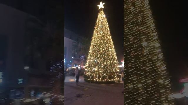 ТРЦ Мандарин Адлер смотреть онлайн