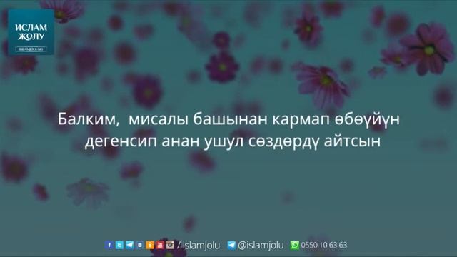 Шейх Солих Аль-Усеймин: "Биринчи нике түнүнүн сүннөттөрү" смотреть онлайн