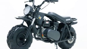 Lucky Duck Ranger RB200 PRO.mp4