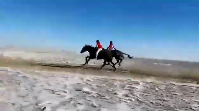 Қытайда өткен бәйге! 1 келген Тасқын деген жүйрік екен! смотреть онлайн