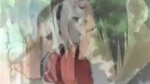 Sakura x Sasuke - Miracle смотреть онлайн