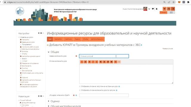 Внедрение источника из Юрайта смотреть онлайн