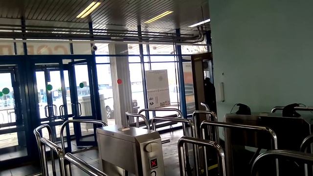 В мире ЖИВОТНЫХ 03.11.20г. (намордники на ВАЗе 2)