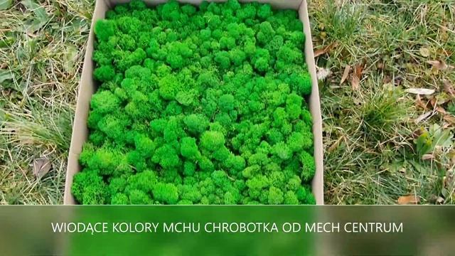 Mech chrobotek PREMIUM Mid Green | Mech Centrum смотреть онлайн