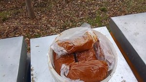 Канди с пергой.