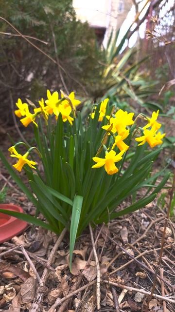 Анапа смотреть онлайн