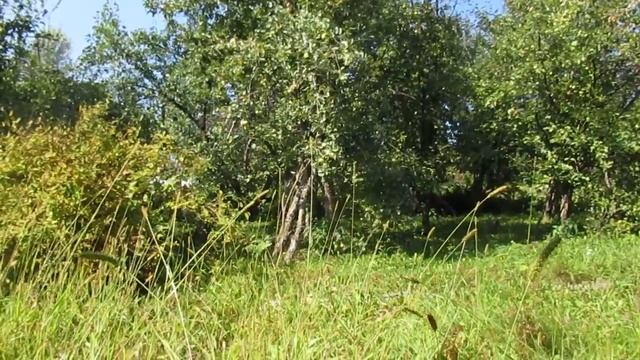 Случайно? Может быть... смотреть онлайн