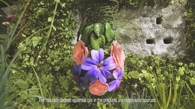 Introducing Botanica by Air Wick: New exotic fragrances смотреть онлайн