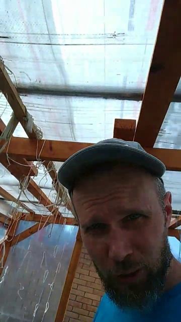 Бог посоветовал "затенить" помидоры в теплице 😁✌️ Новосибирск смотреть онлайн