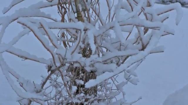 Ajaa tujhe afsana judayi ka sunaye..Noor Jahan смотреть онлайн