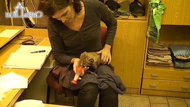 Ježíšek v ZOO смотреть онлайн