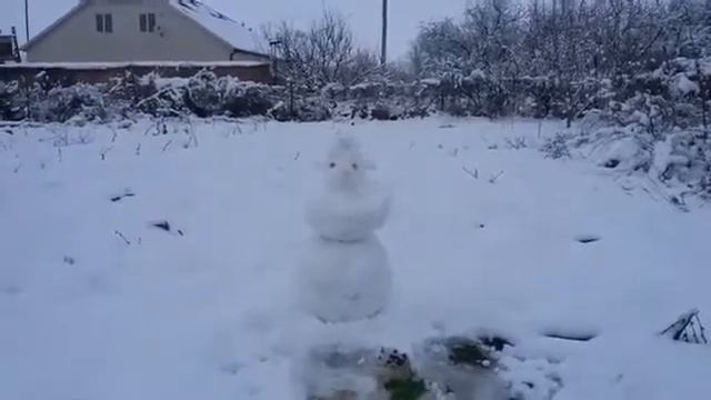 Снеговик с усами (04.01.2018) смотреть онлайн