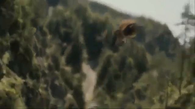 спаривание пчелиной матки смотреть онлайн