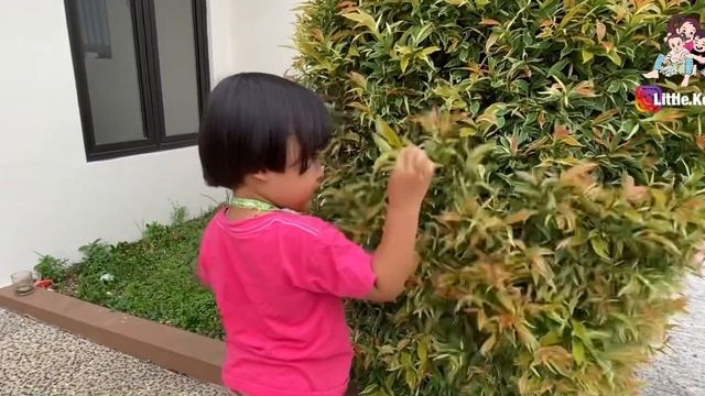 Kenzo ajari Adik Sakura jadi Anak Pemberani | Main Sepatu Roda Sore смотреть онлайн