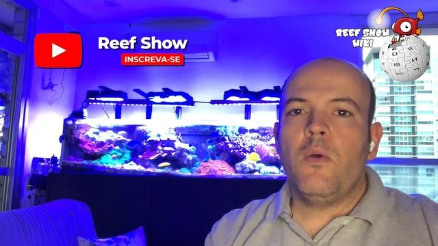 Reef Show Wiki: Yellow Watchman Goby