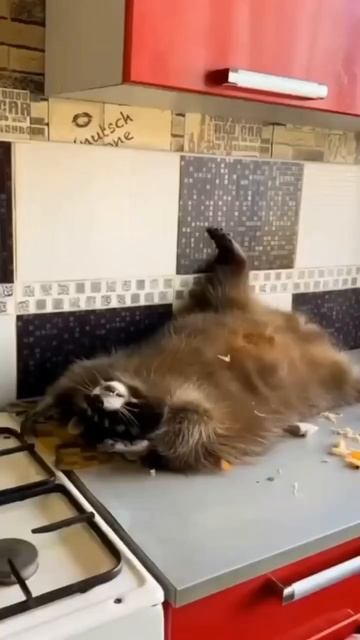 Мем😅 смотреть онлайн