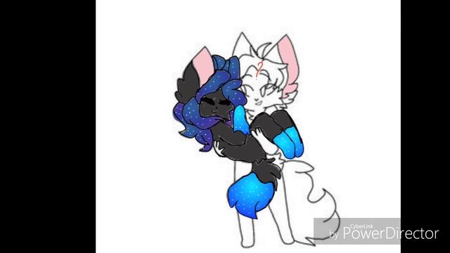 Ищу пару (кота). Ч.о