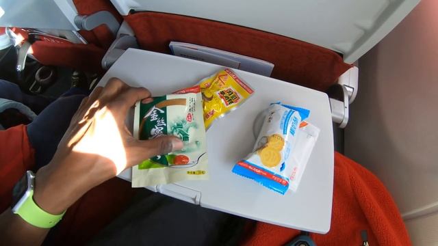 Sichuan Airlines Is this Plane going to CHINA? смотреть онлайн