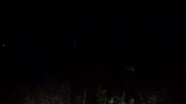 Be AFRAID OF THE LIGHT смотреть онлайн