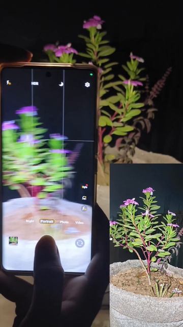 Camera test Video in Telegram Channel 🤞 Vivo T2 Pro 5G Phone #mohvish #vivot2pro #vivot2pro5g #t2pr смотреть онлайн