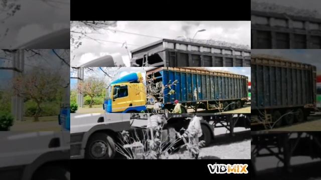 Mauritius Dove Trucking