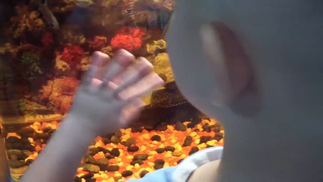 Рыбы не тонут: Максим, Катя, Лиза и аквариум. смотреть онлайн