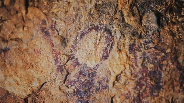 LA SARGA смотреть онлайн