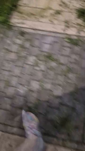 ДИКАЯ ОСА ГОНИТСЯ ЗА МНОЙ! БЗЗЗ 🥴😵💫😳