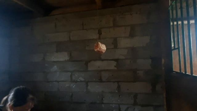 Обновки для Лайта.