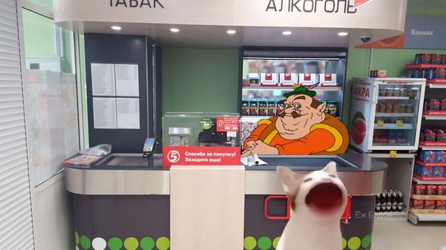 Pop Cat vs Pop It смотреть онлайн