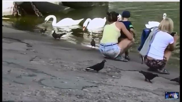 Балтийск смотреть онлайн