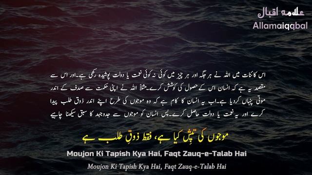 Shaheen | Allama iqbal Urdu Poetry | Kalam-e-iqbal | Kuliyat-e-iqbal | Iqbalyat | Allamaiqqbal