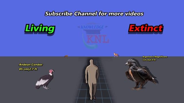 Living vs Extinct Animals Size Comparison in 2024 | Living Species vs Extinct Giant Size Comparison смотреть онлайн