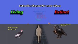 Living vs Extinct Animals Size Comparison in 2024 | Living Species vs Extinct Giant Size Comparison