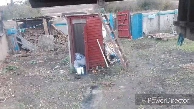 Сегодня ветер дождь, сажаю лук. смотреть онлайн
