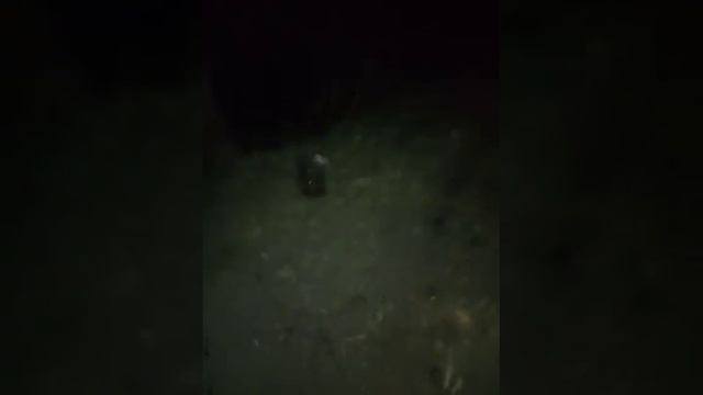 VID 20200924 012118 смотреть онлайн