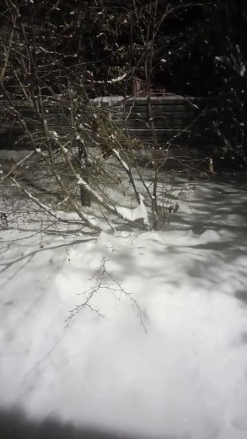 Простите, Алена Полынь смотреть онлайн