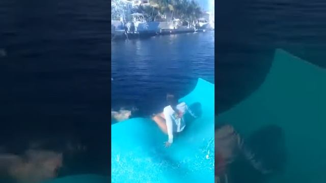 Cayo largo diversion смотреть онлайн